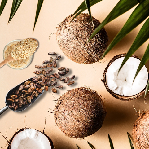 Návrh bez názvu(6)